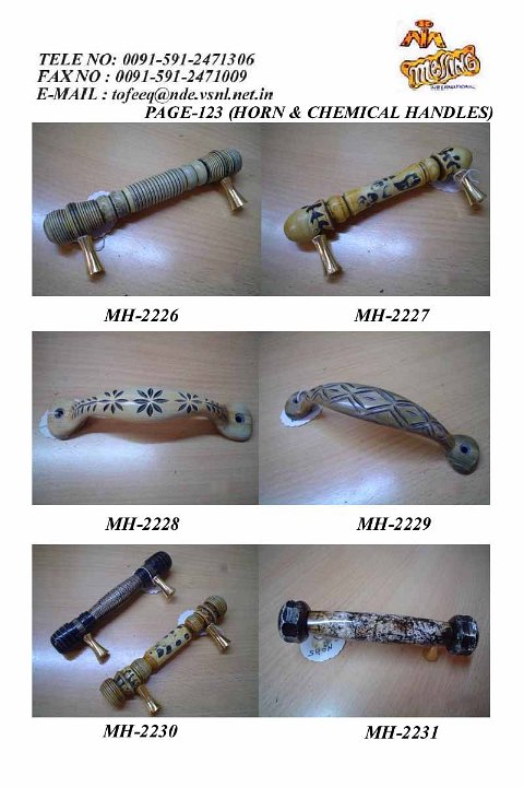 PAGE-123 (HORN & CHEMICAL HANDLES).JPG